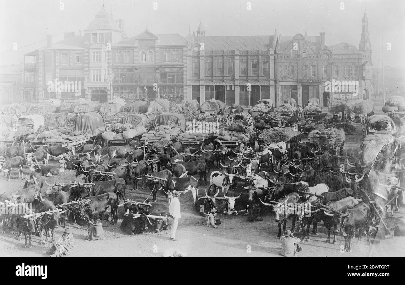 Johannesburg in Südafrika 11. März 1922 Stockfoto