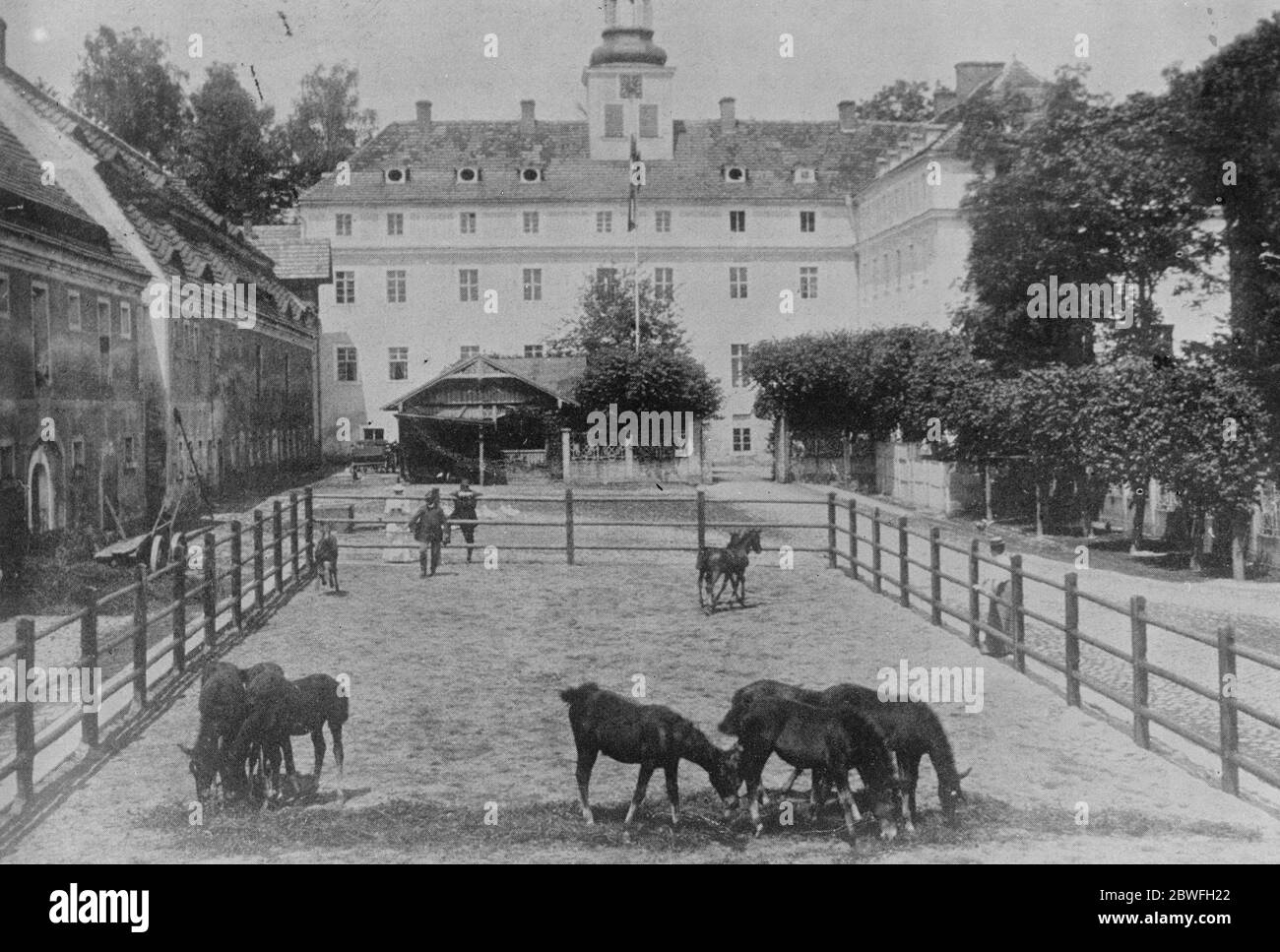 Verbrechen im Schloss Kleppelsdorf Jagdschloss Laehn , der Schlosshof , mit dem Stall links und Fohlen im Vordergrund am 6. Dezember 1921 Stockfoto
