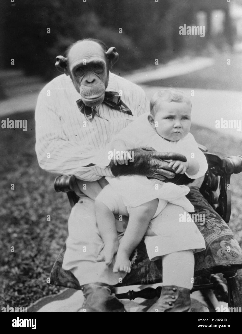 Die Krankenschwester Schimpanse . Snooky , sagte, die meisten Menschen sein - wie Schimpanse in der Welt , Pflege der Baby-Tochter von Herrn und Frau John Rounan , von Los Angeles . 31 Dezember 1923 Stockfoto