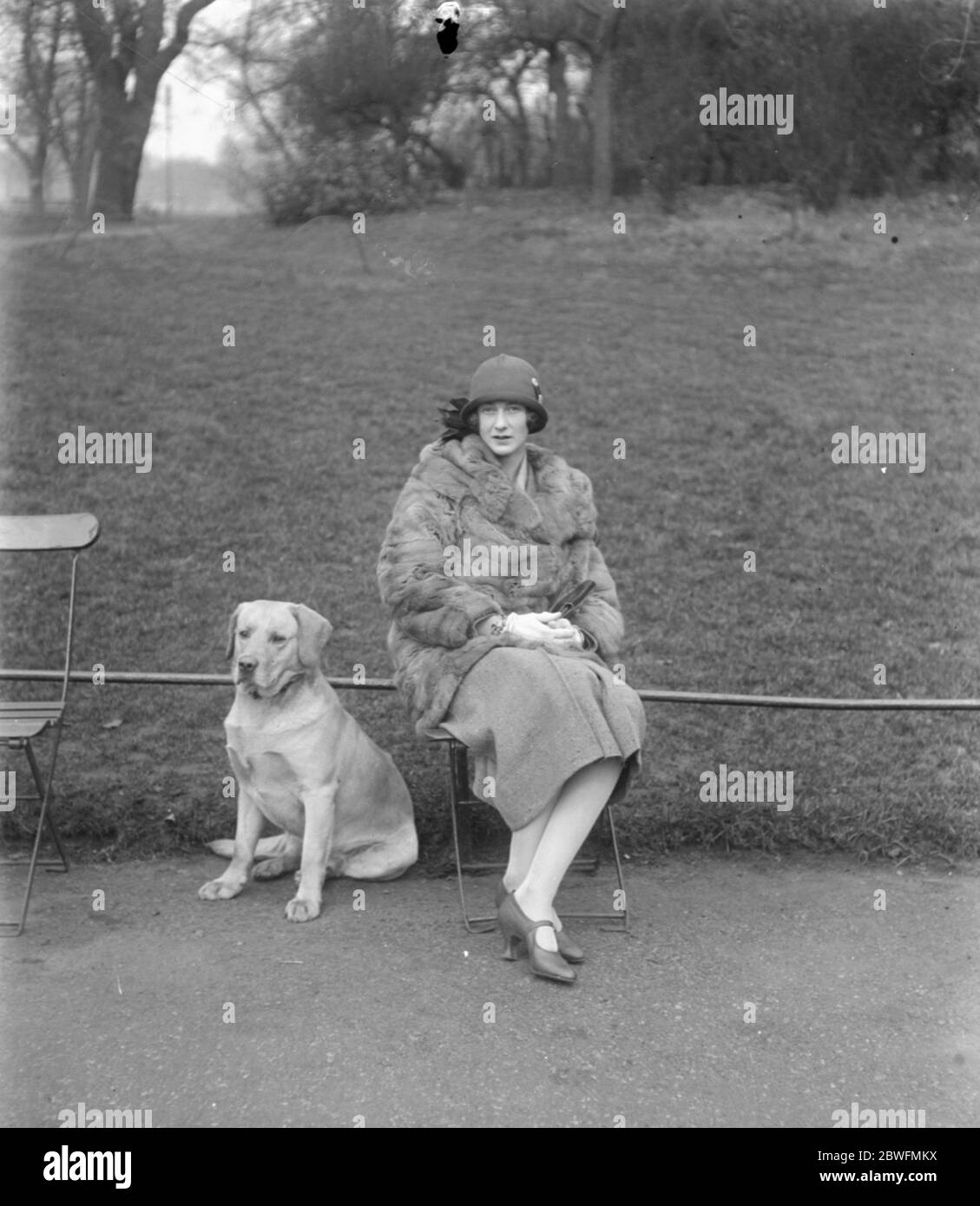 Lady Warrender bei Jagdunfall Lady Warrender , Ehefrau von Sir Victor Warrender M P , leidet an einem gebrochenen Halsbein , das Ergebnis eines schweren Sturzes während der Jagd mit Belvoir Hunds 20 Oktober 1930 Stockfoto