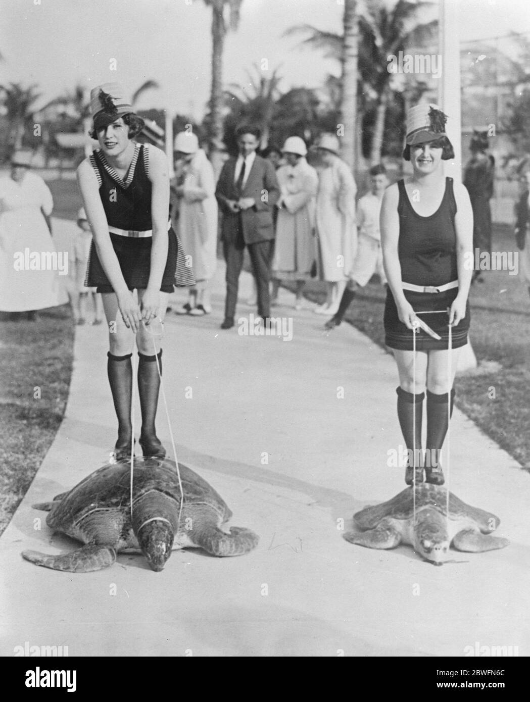 Ein langsames Rennen. Ein Schildkrötenrennen in Miami Beach im Gange. 21 Februar 1925 Stockfoto