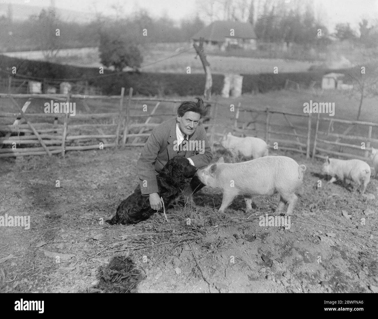 Beliebte Schauspieler ' s Farm Herr Henry Ainley widmet seine Freizeit auf seiner Farm in Chart Lodge , Seal 21 März 1924 Stockfoto