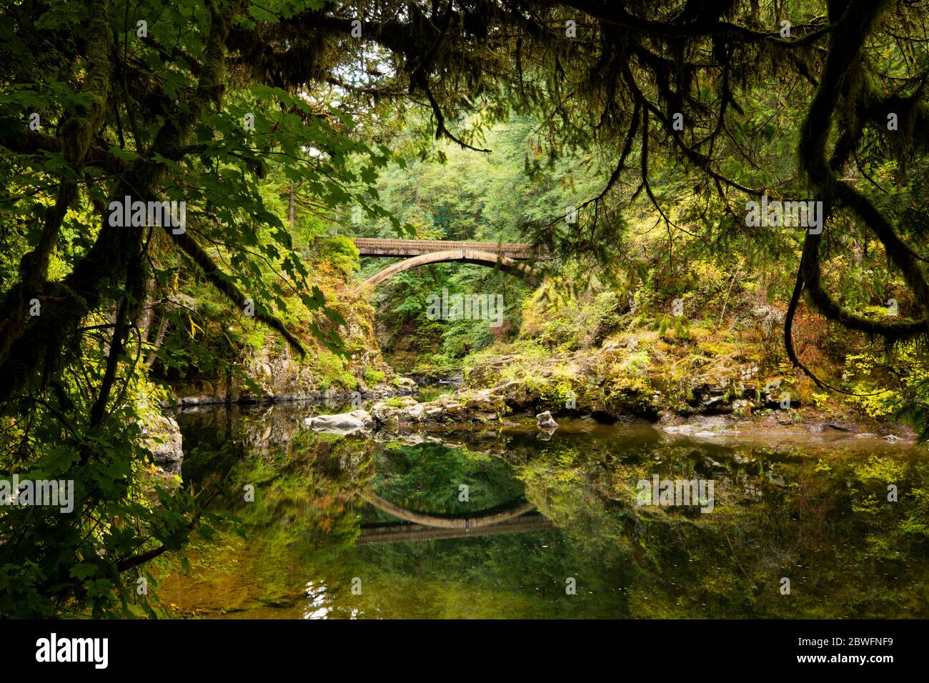 Blick auf den Wald in Portland, Oregon, USA Stockfoto