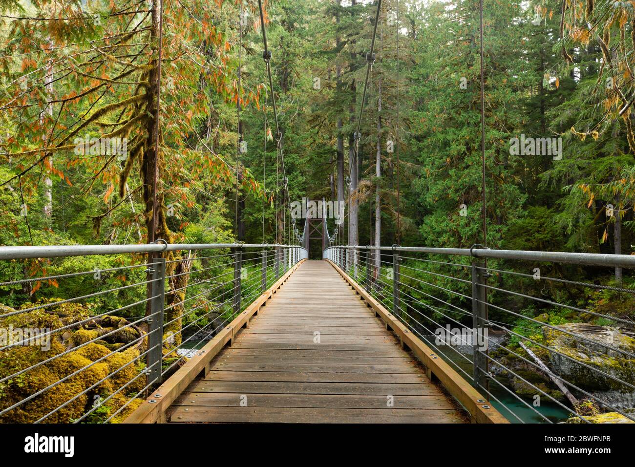 Waldbrücke in Portland, Oregon, USA Stockfoto