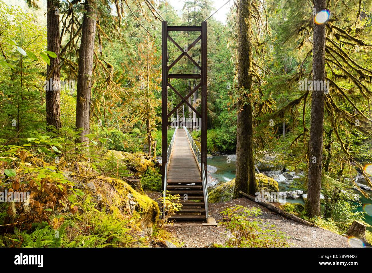 Waldbrücke in Portland, Oregon, USA Stockfoto