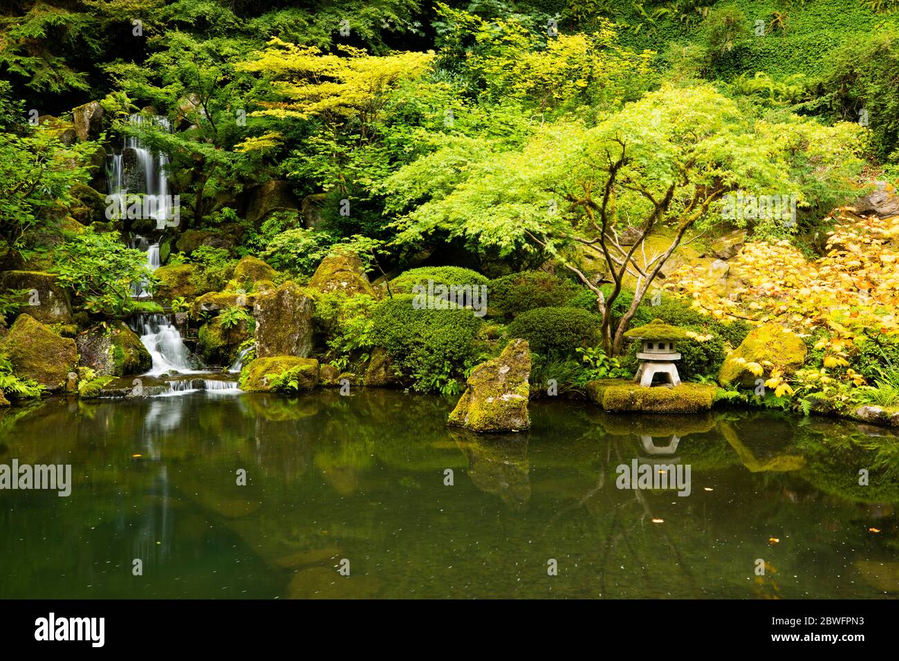 Blick auf den Japanischen Garten mit Bäumen, Sträuchern, Teich und Wasserfall, Portland, Oregon, USA Stockfoto