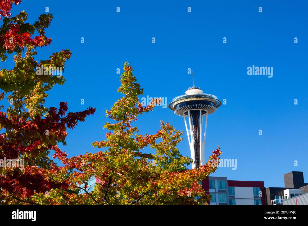 Space Needle gegen klaren Himmel, Seattle, Washington, USA Stockfoto