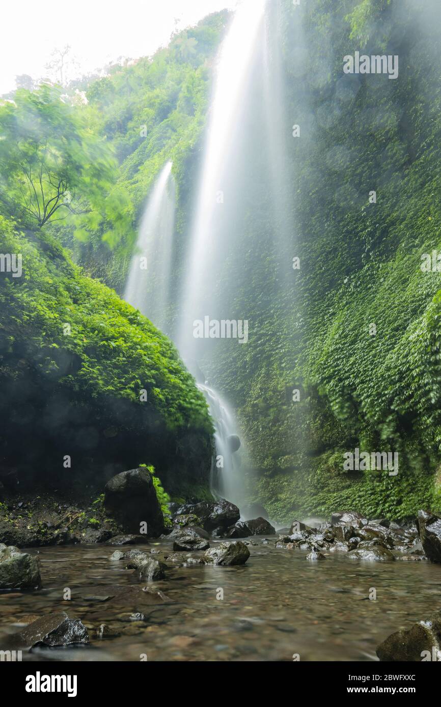 Atemberaubende Aussicht auf die Madikaripura Wasserfälle bei Sonnenaufgang. Madakaripura Wasserfall oder Air Terjun Madakaripura, Indonesien. Stockfoto