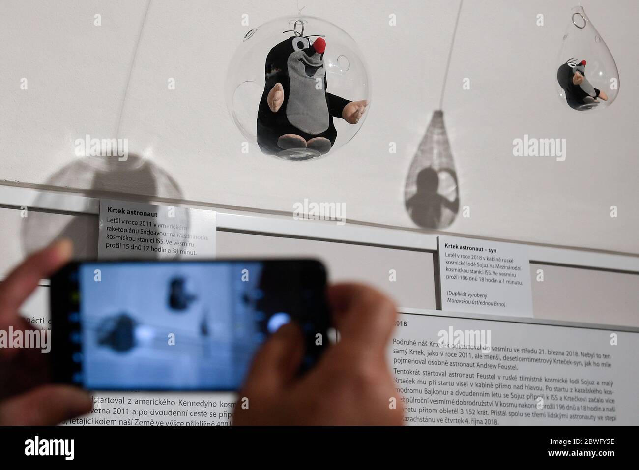 Kladno, Tschechische Republik. Juni 2020. Am 1. Juni 2020 wurde im Schloss Kladno in Tschechien eine neue Ausstellung mit dem Namen "Zdenek Miler, nicht nur Mole" eröffnet, die dem Autor des Mole (Krtek, Krtecek) Zdenek Miler gewidmet ist. Es enthält Originalzeichnungen, Projektionen und interaktiven Raum. Quelle: Ondrej Deml/CTK Photo/Alamy Live News Stockfoto