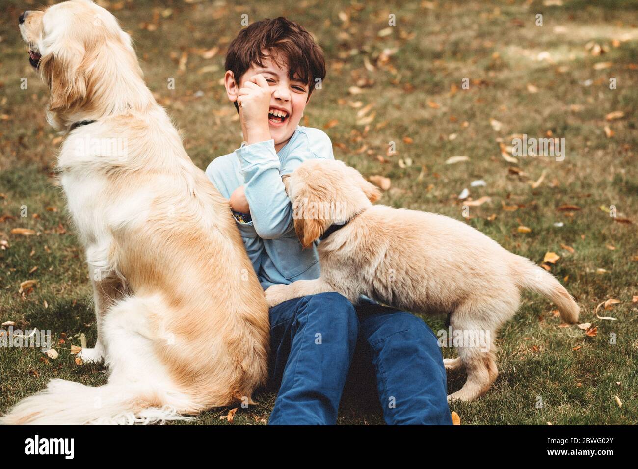 Kind spielt mit Hund und Golden Retriever labrador Welpen draußen Stockfoto
