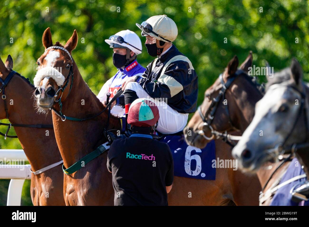 Stalls Handler überprüft den Gurt eines Läufers auf der Newcastle Racecourse auf der Newcastle Racecourse. Ausgabedatum: Montag, 1. Juni 2020. Stockfoto