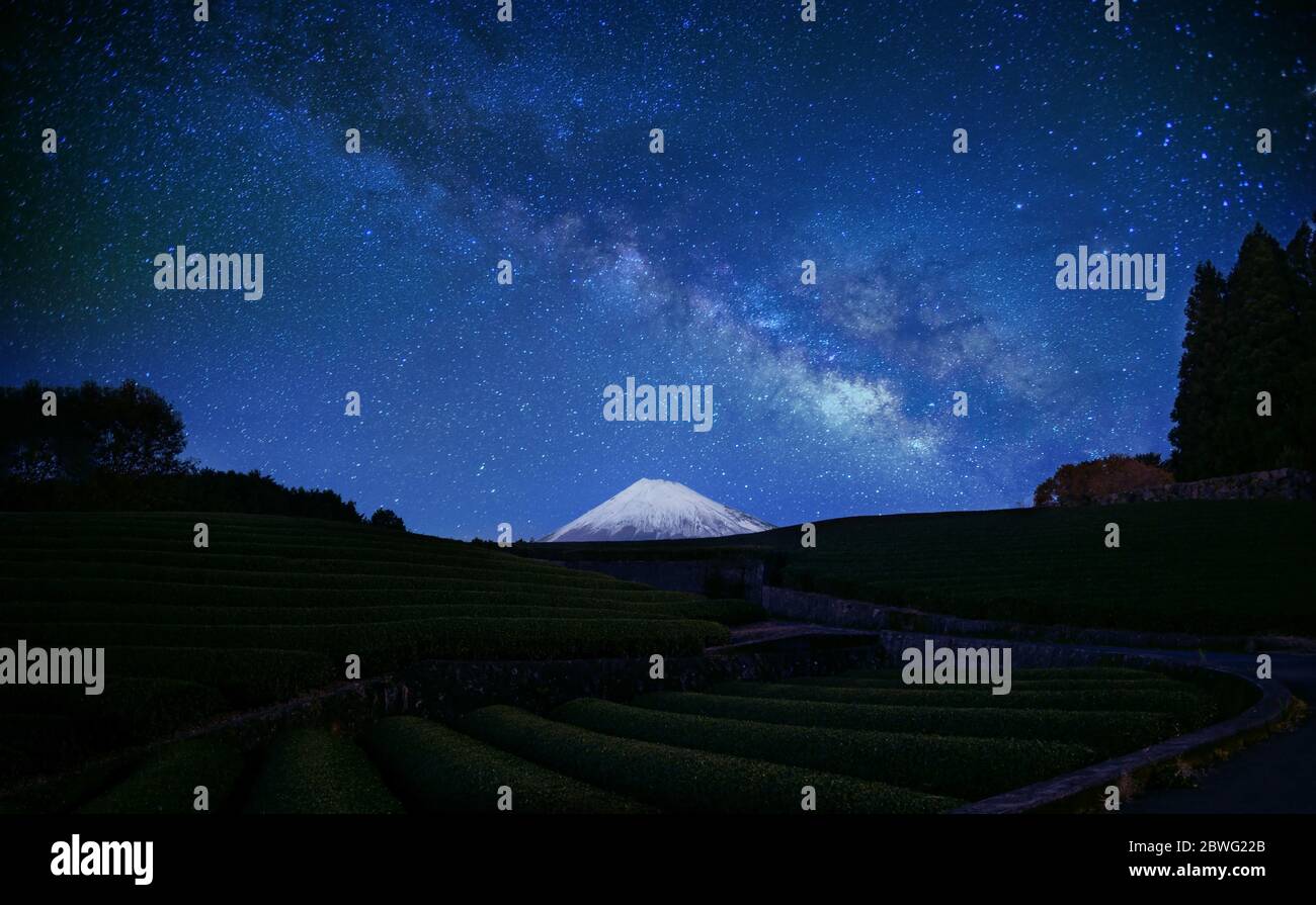 Milky Way Hintergrund bei Tea Fields und Mt. Fuji. Dies ist ein beliebter Ort für das Fotografieren, mit unwiderruflich schönen Landschaft, die sich ausbreitet Stockfoto