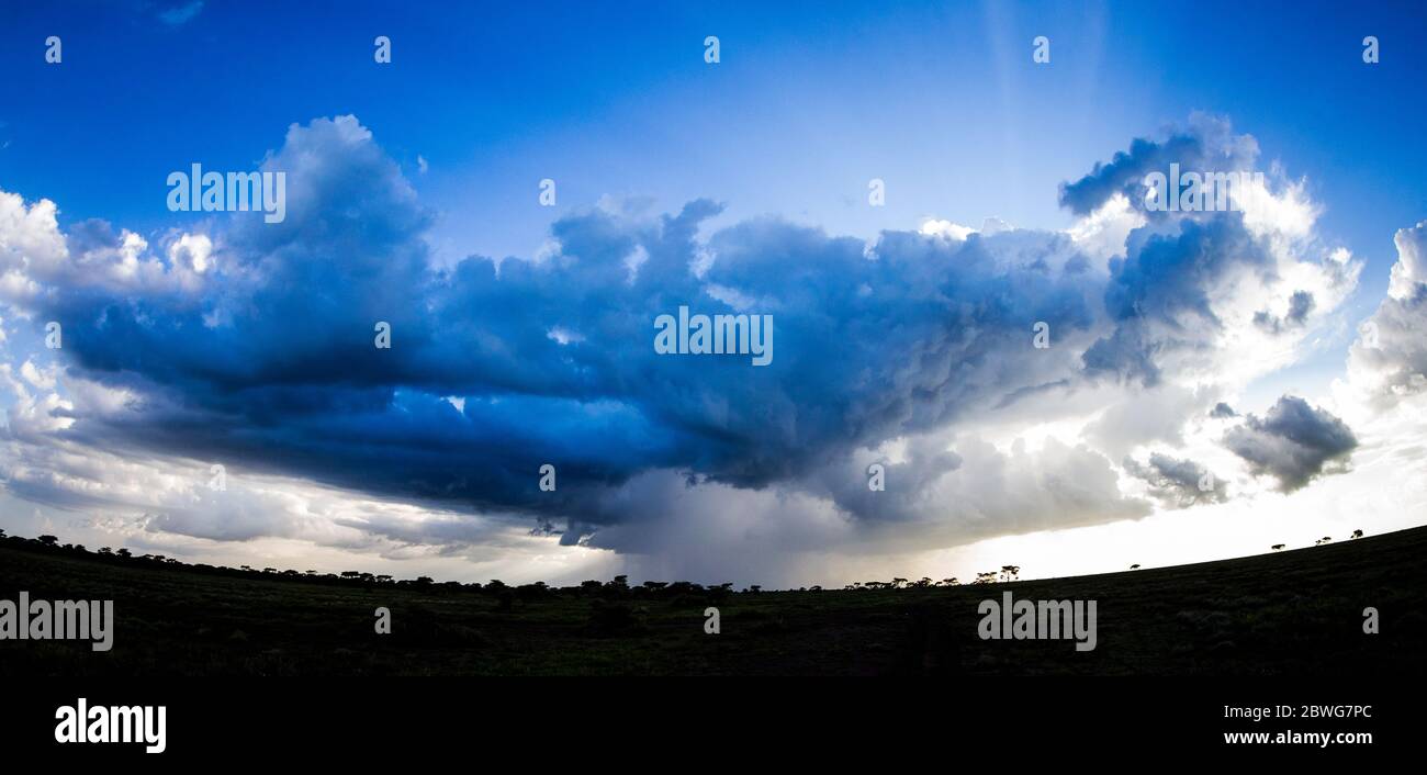 Sturmwolke über Savanne, Serengeti Nationalpark, Tansania, Afrika Stockfoto