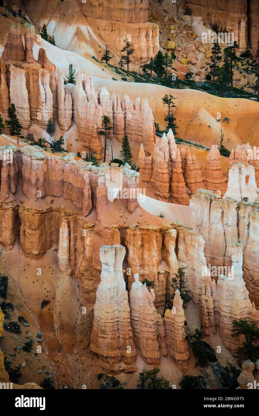 Erodierte Felsformationen des Bryce Canyon, Utah, USA Stockfoto