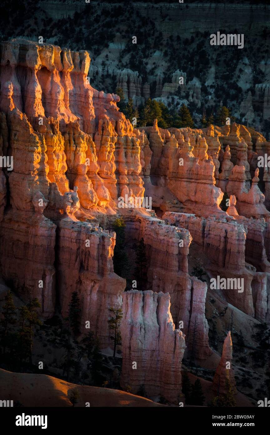 Erodierte Felsformationen des Bryce Canyon, Utah, USA Stockfoto