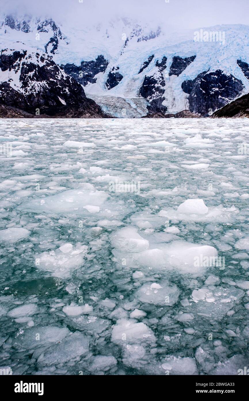 Eis im Meer in der Winterlandschaft, Patagonien, Chile, Südamerika Stockfoto