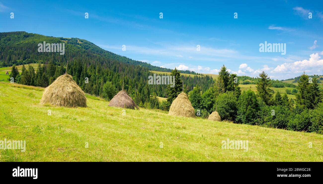 Sommer Landschaft des ländlichen Tals. Heuhaufen auf einer grünen Wiese in den Bergen am Morgen unter einem blauen Sommerhimmel Stockfoto