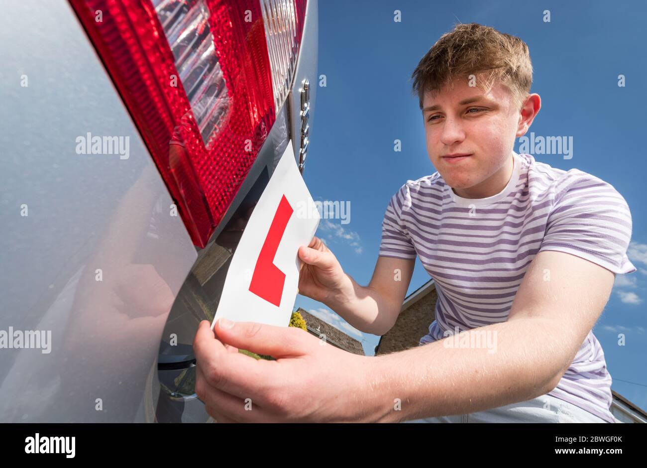 Teenager-Lernfahrer Hinzufügen L Platten zu seinen Eltern Auto bereit für eine Lektion. Stockfoto