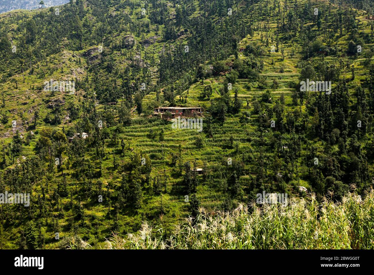 Versteckte Galerie, Elum Mountain Trekking Pfad, Marghuzar, Swat, Khyber Pakhtunkhwa Provinz, Pakistan, Südasien, Asien Stockfoto