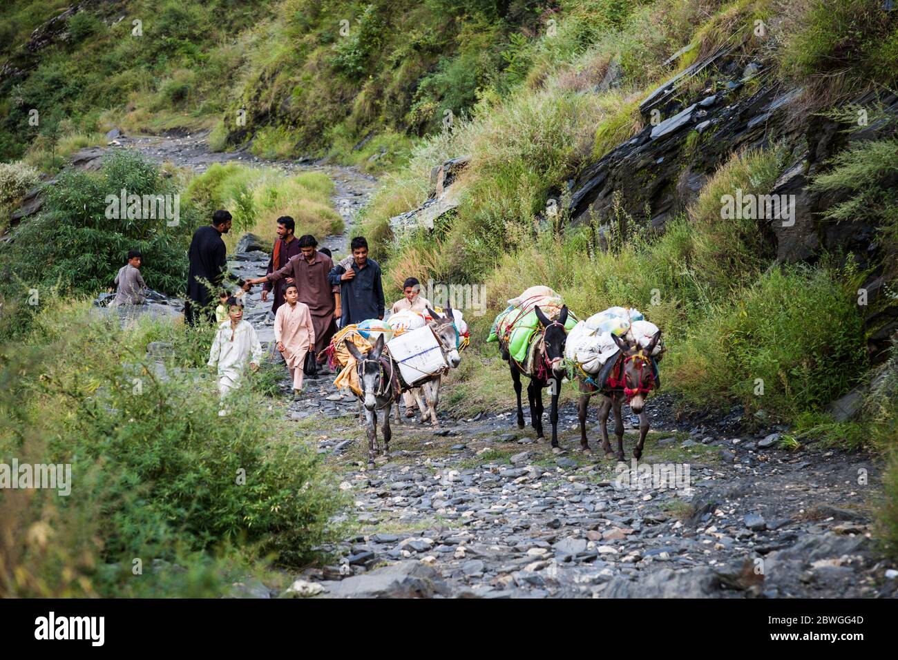 Esel und Einheimische, Elum Mountain Trekking Pfad, Marghuzar, Swat, Khyber Pakhtunkhwa Provinz, Pakistan, Südasien, Asien Stockfoto