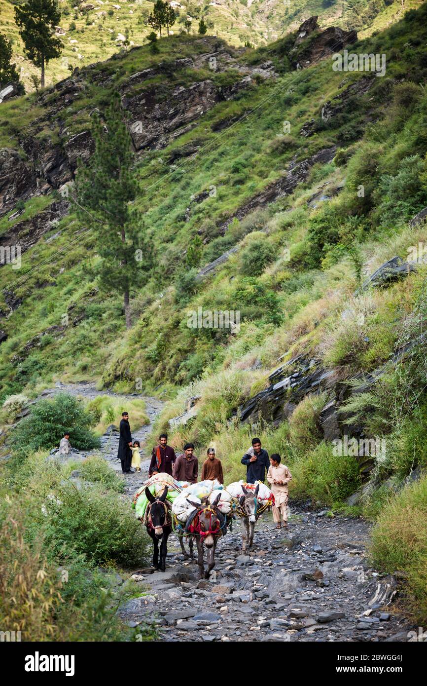 Esel und Einheimische, Elum Mountain Trekking Pfad, Marghuzar, Swat, Khyber Pakhtunkhwa Provinz, Pakistan, Südasien, Asien Stockfoto