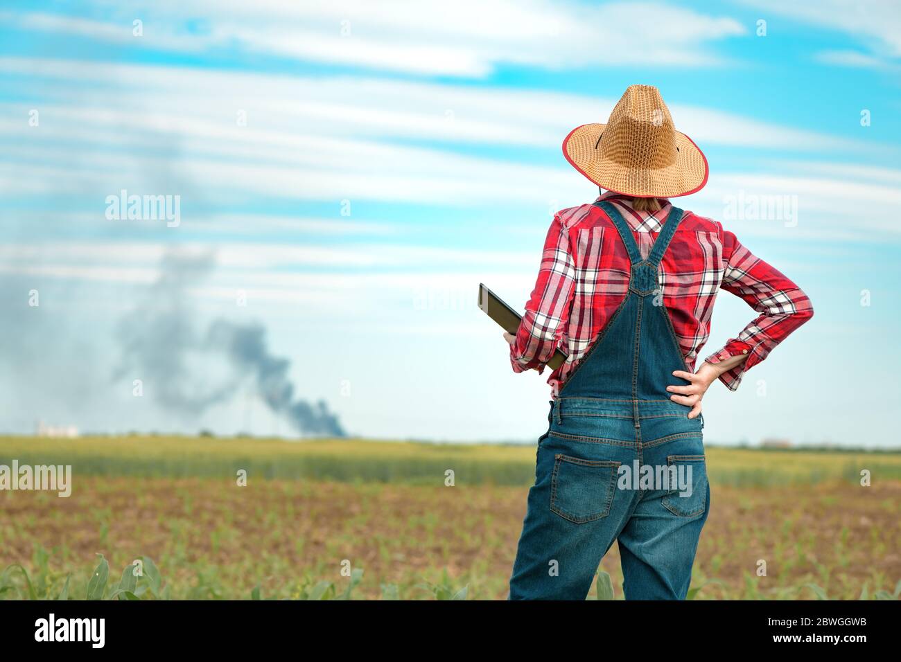 Besorgte Landwirtin mit digitalen Tablet im Maisfeld Blick auf schwarzen Rauch am Horizont, Konzept der Versicherung in der Landwirtschaft und Landwirtschaft Stockfoto