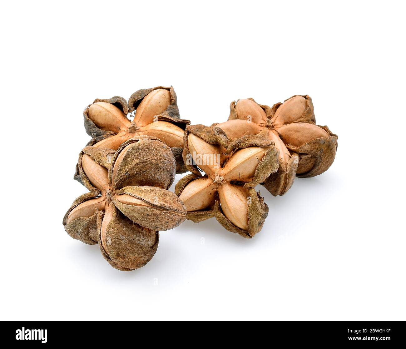 Muttern Inkas, Sacha Inchi Erdnuss Samen auf weißem Hintergrund Stockfoto