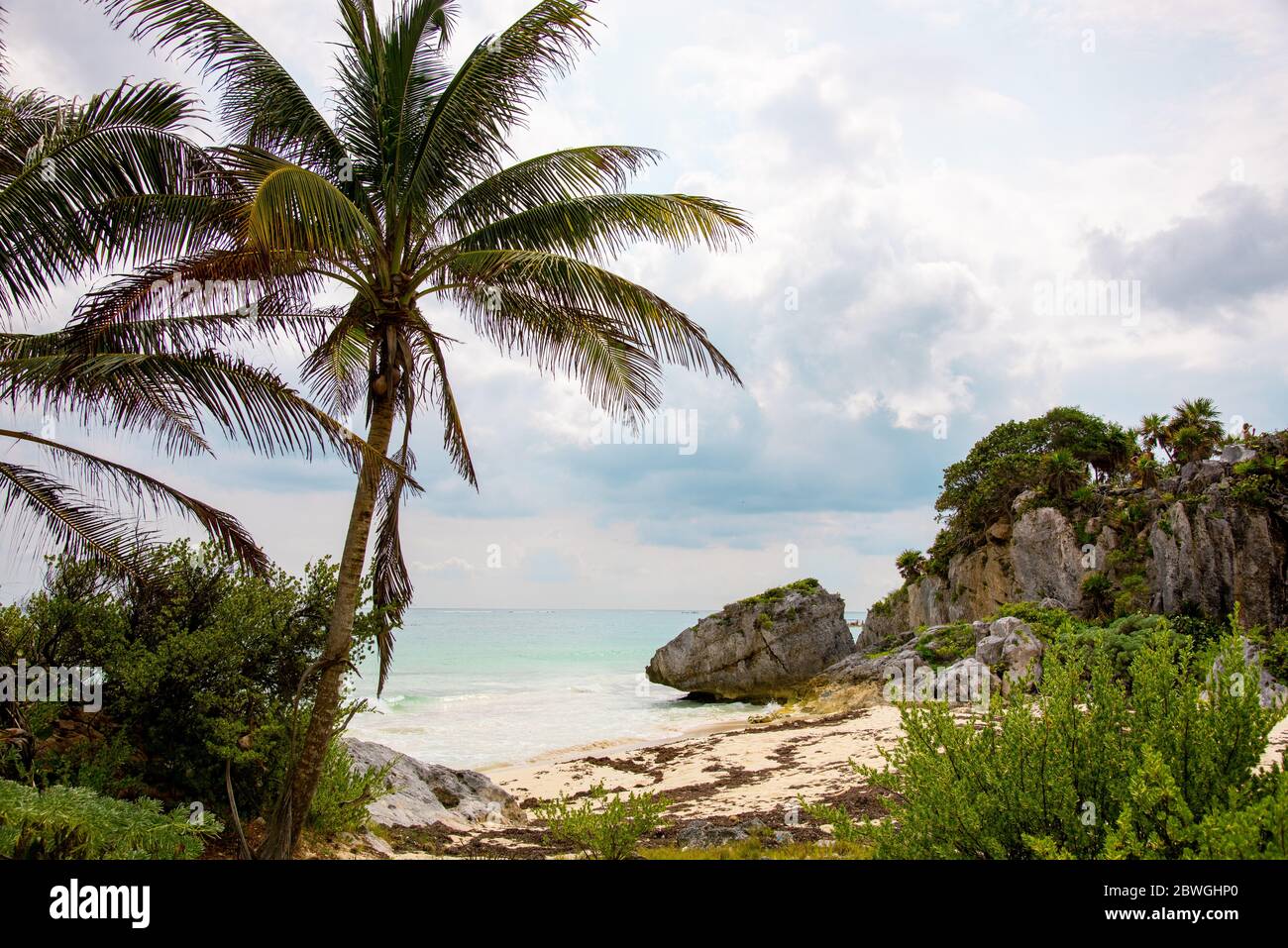 Kristallklares türkisfarbenes Wasser an einem mexikanischen Sandstrand unter Palmen - Touristenattraktion und Urlaubsziel in Tulum, Mexiko, Karibik Stockfoto