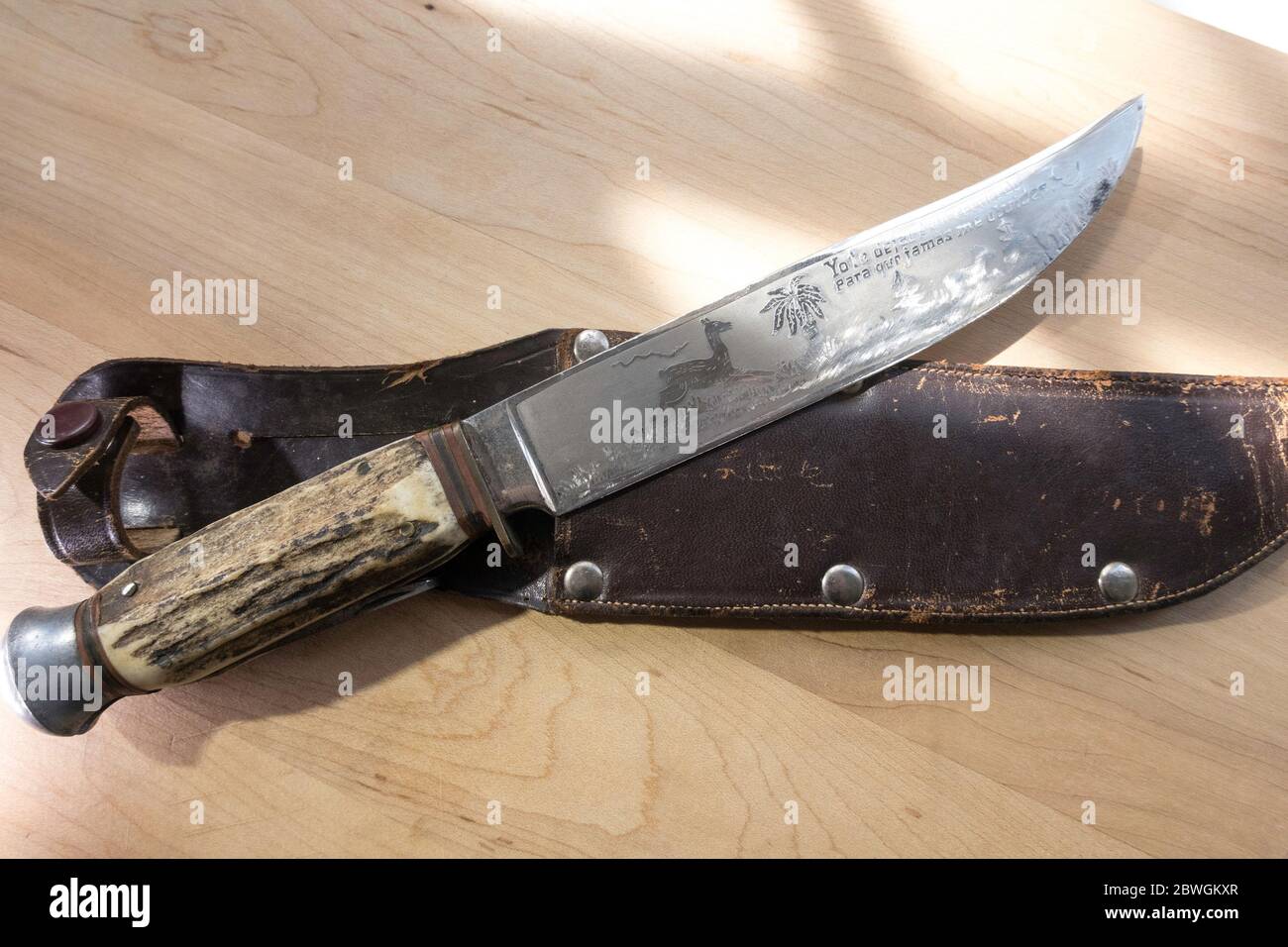 Stillleben von Vintage Hunting Knife, USA Stockfoto