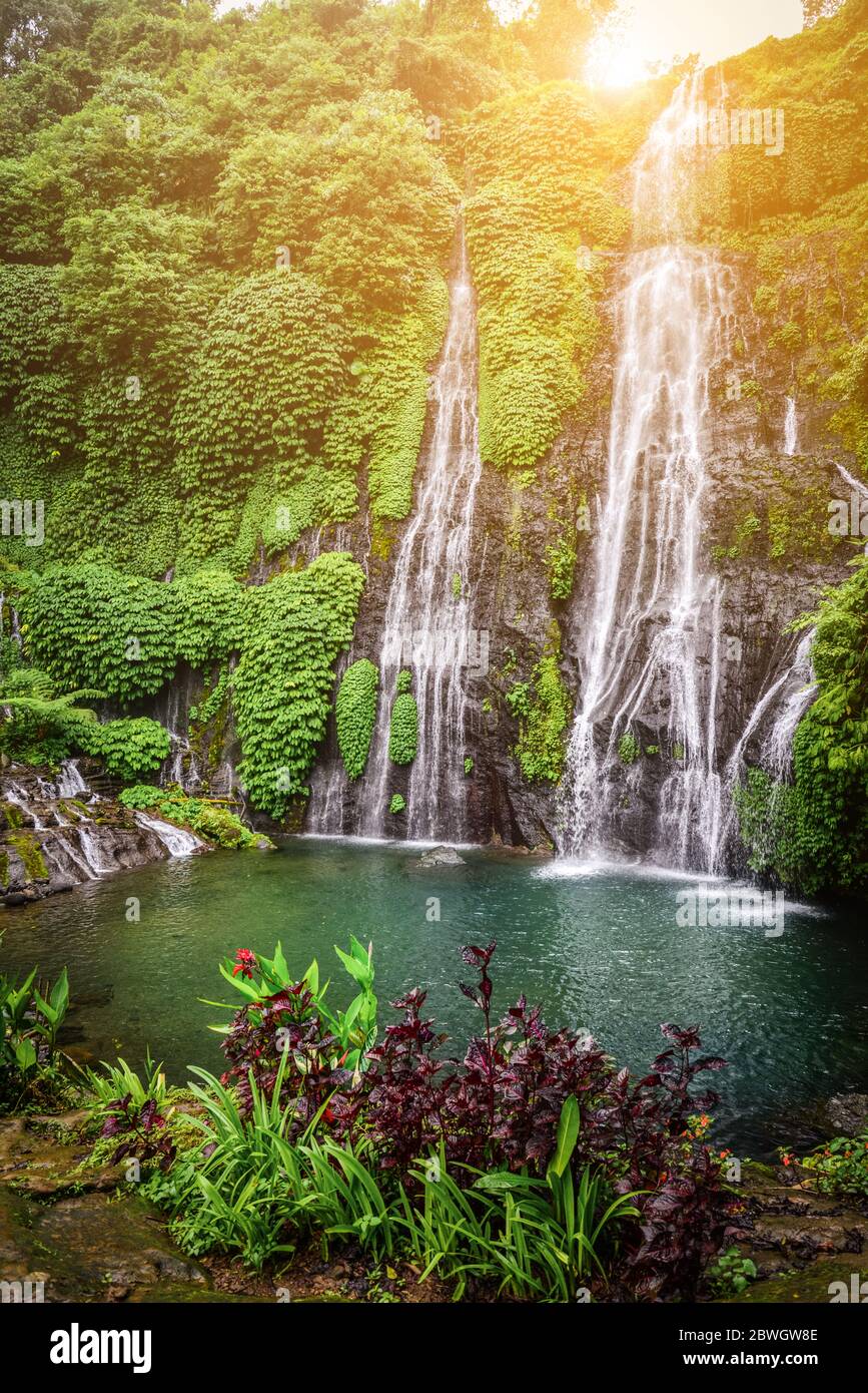 Dschungel Wasserfall Kaskade im tropischen Regenwald mit Felsen und
