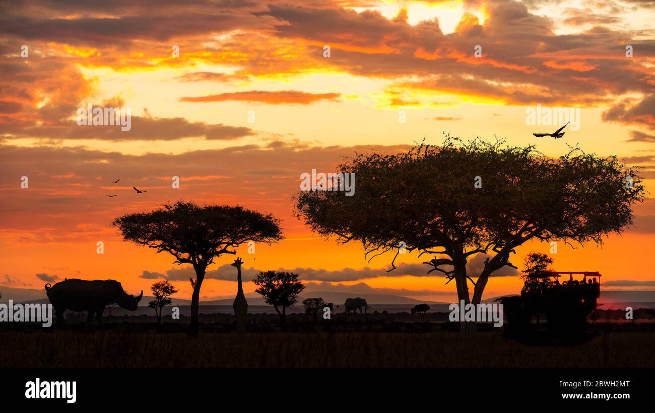 Safari-Fahrt mit afrikanischen Wildtieren während der goldenen Sonnenuntergangsszene Stockfoto