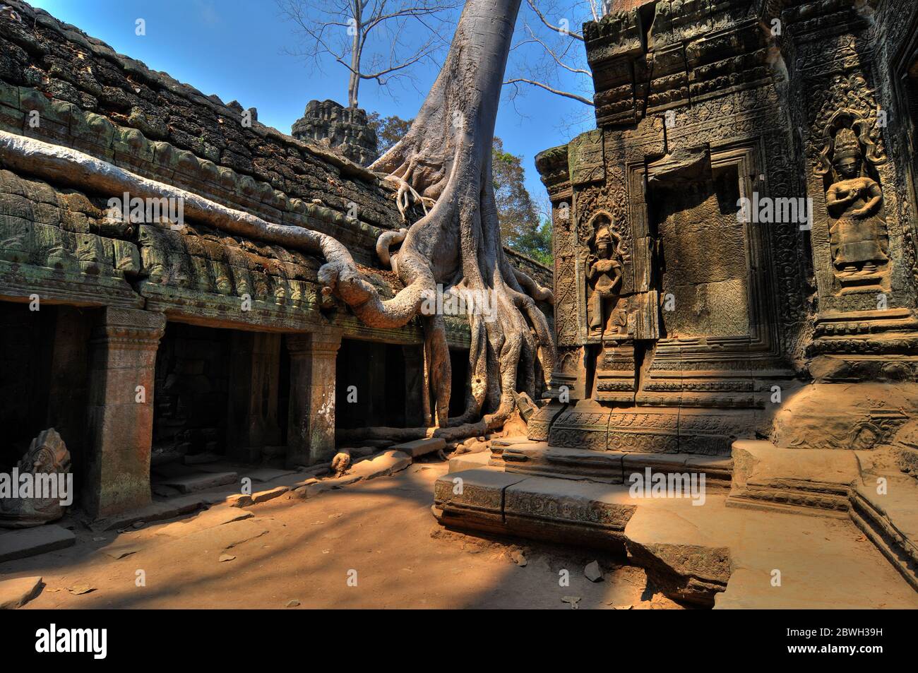 Die archäologische Stätte von ta Prohm, Angkor, Siem Reap, Kambodscha. Stockfoto