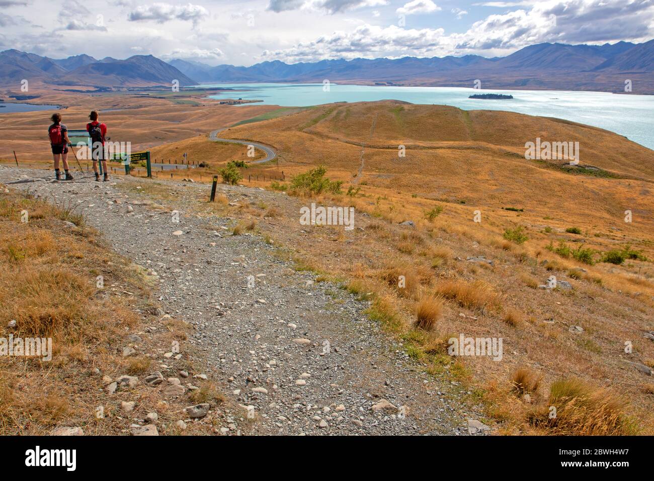 Wanderer auf dem Mt John, mit Blick über den Lake Tekapo Stockfoto