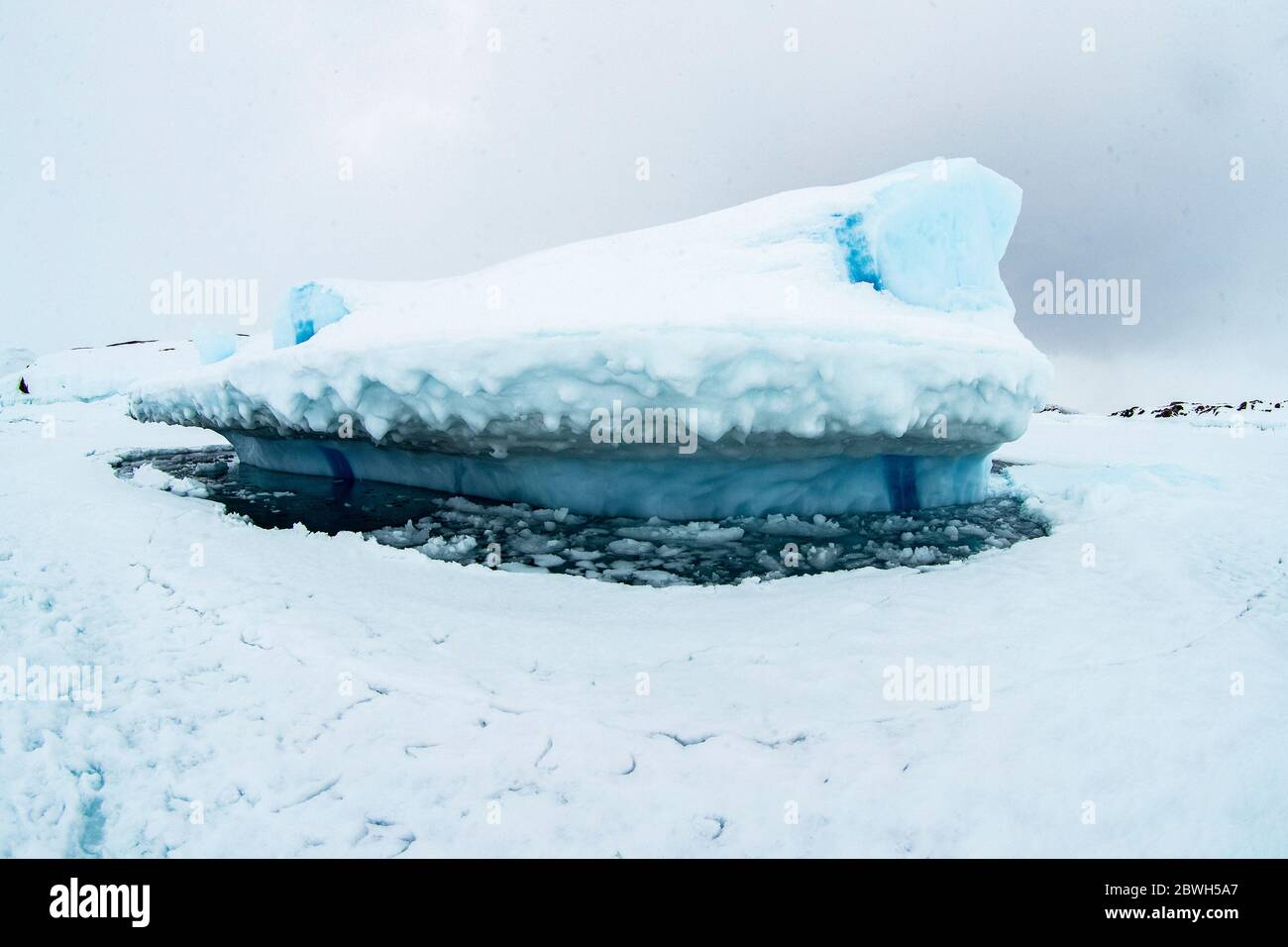 Die Spitze des Eisbergs tritt aus der gefrorenen Meeresoberfläche hervor, bewegt sich je nach Gezeiten auf und ab und hält das Wasser frei um ihn herum. Tasiilaq, Gr Stockfoto