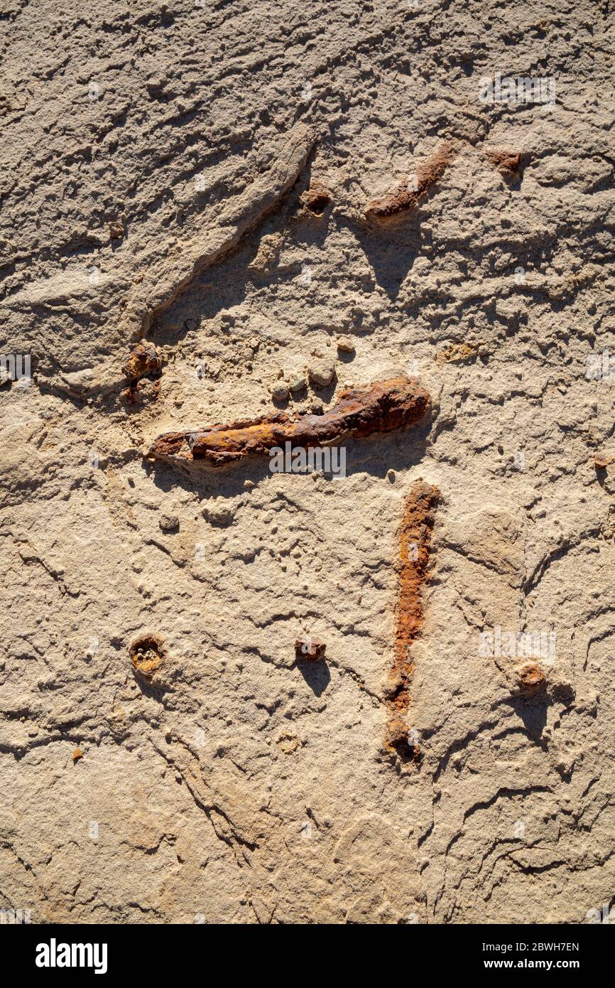 NM00358-00...NEW MEXICO - versteinerte Garnelengräben, beweisen, dass die Klippen und Hügel des Chaco Culture National Historic Park Teil des Ozeans waren. Stockfoto