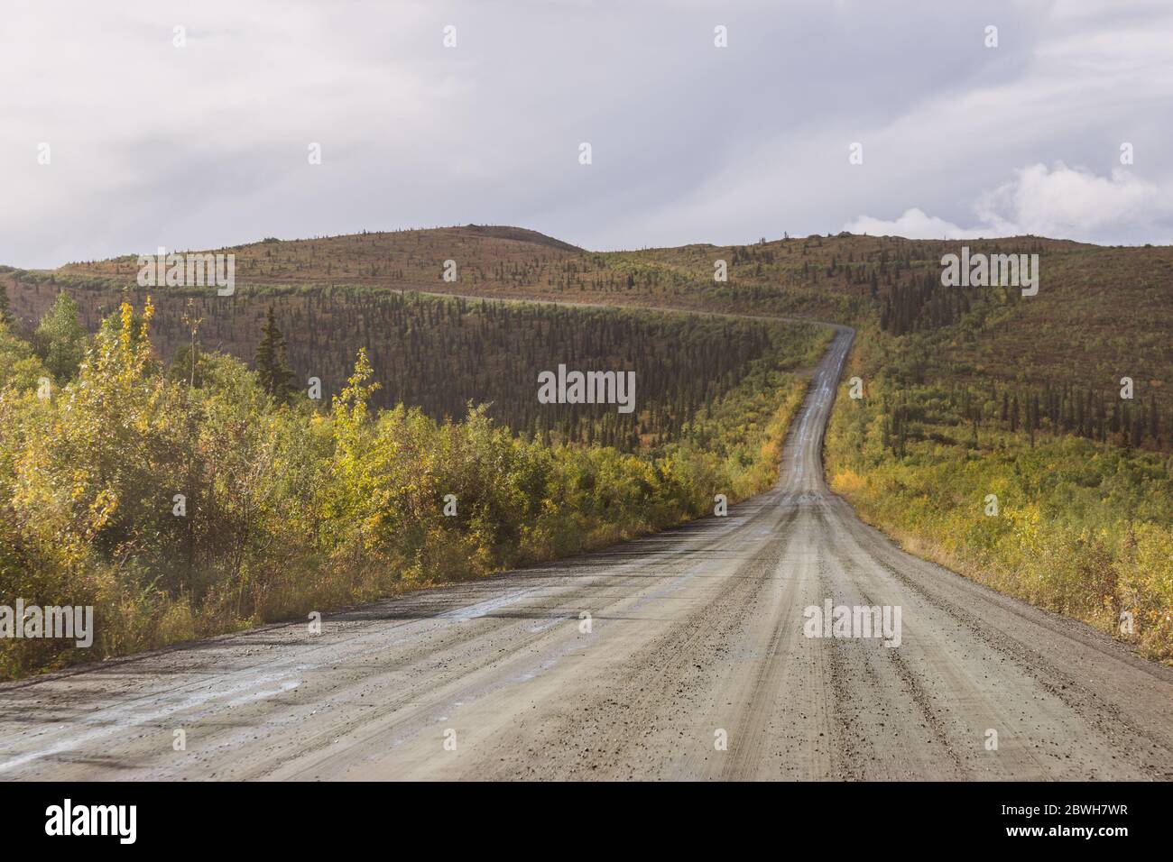 Lange und leere Alaskan Autobahn Stockfoto