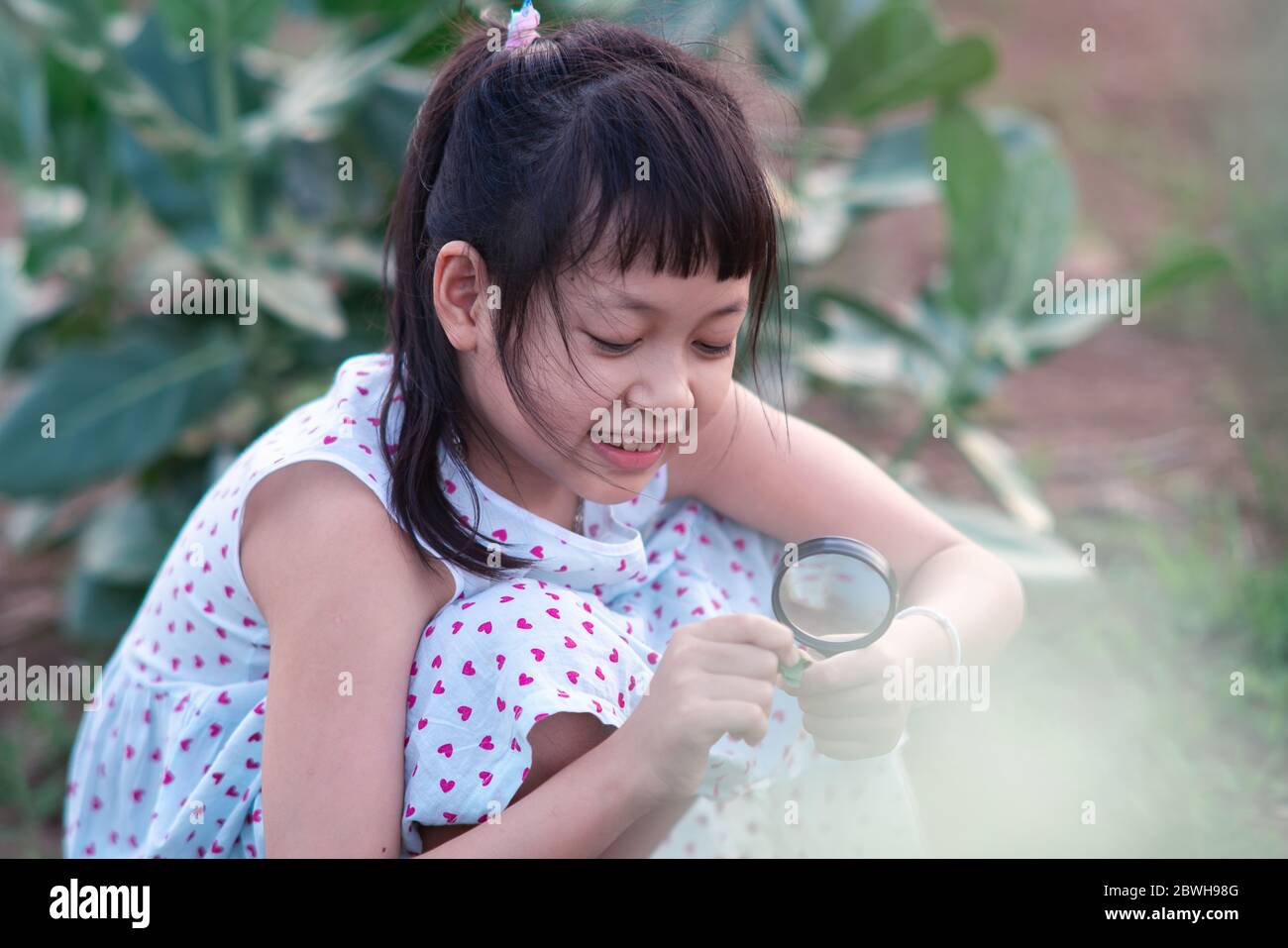 Glücklich asiatisch kleines Kind Mädchen, das durch eine Lupe auf grünen Blatt Baum im Park Stockfoto