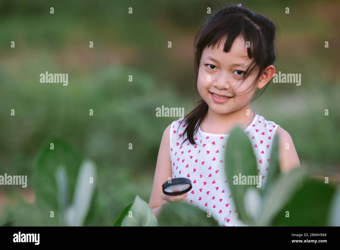 Glücklich asiatisch kleines Kind Mädchen, das durch eine Lupe auf grünen Blatt Baum im Park Stockfoto