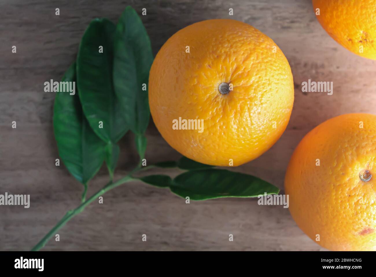 Flachgearbeiten von maltesischen Orangenfrüchten Stockfoto
