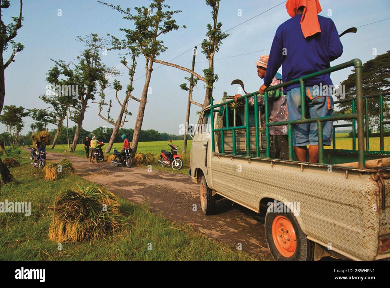 Bauern tragen in Blora Regency, Central Java Province, Indonesien (2009), Krankheiten, da sie mit einem Lkw zur Ernte und zum Transport landwirtschaftlicher Produkte reisen. Stockfoto