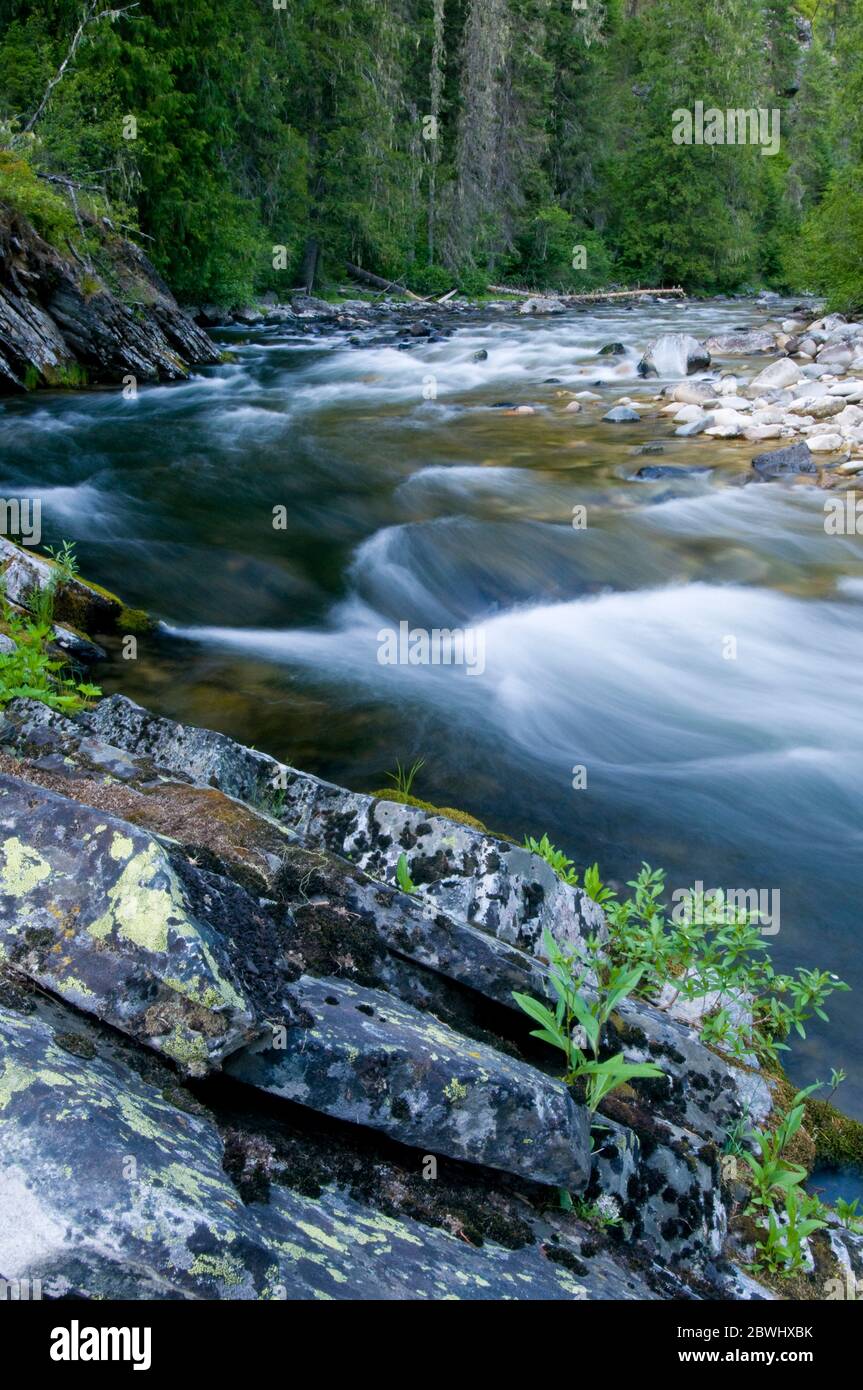 Meadow Creek in der Nähe der Meadow Creek Guard Station in der Nez Perce/Clearwater National Forest ID Stockfoto