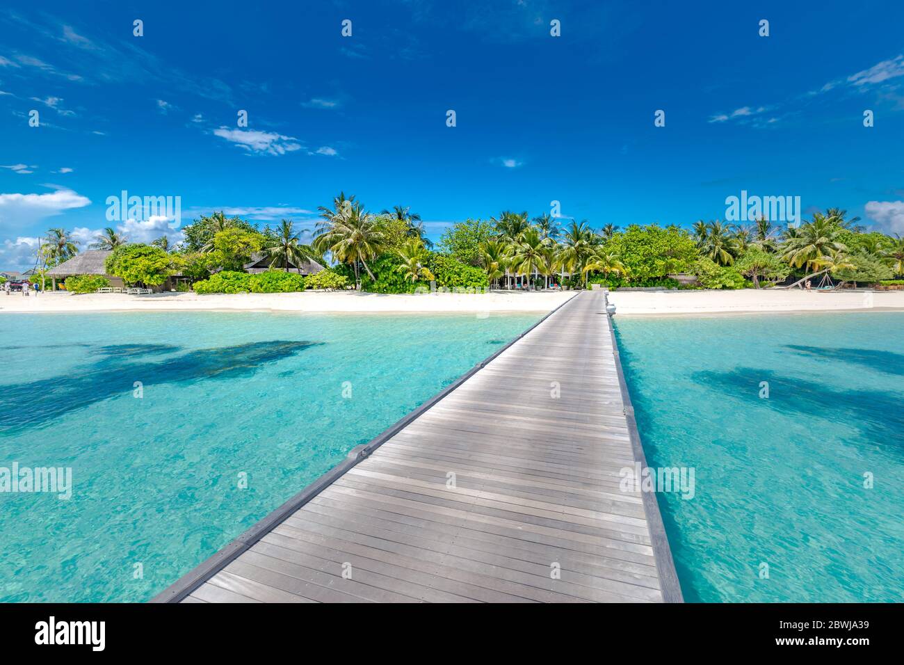 Schöne tropische Malediven Insel mit Strandmeer und Kokospalme am blauen Himmel für Natur Urlaub Urlaub Hintergrund Konzept. Luxusreisen Stockfoto