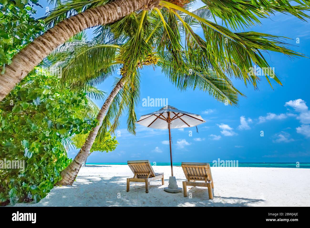 Tropisches Paradies Strand mit weißem Sand und Coco Palmen Reise Tourismus breiten Panorama Hintergrund. Luxus Urlaub und Urlaub Banner, tropischen Strand Stockfoto