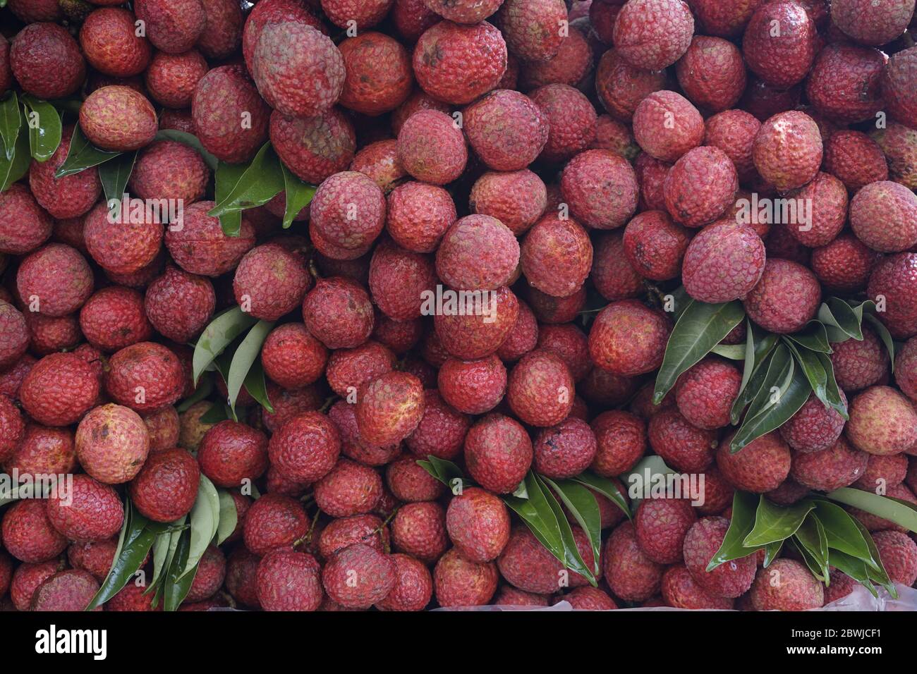 Lychee Früchte Stockfoto