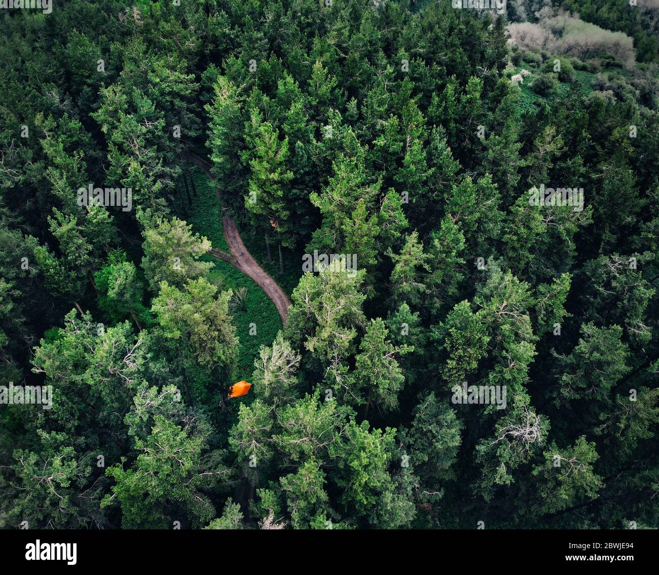 Luftaufnahme des orangen Zeltes am Wald in den Bergen. Foto mit Drone aufgenommen Stockfoto