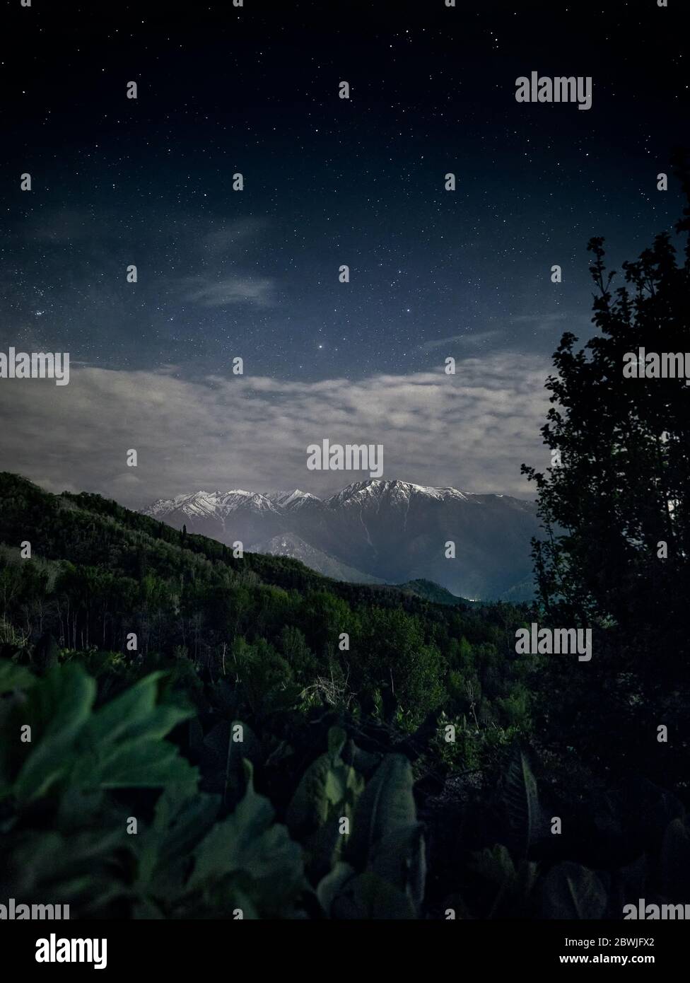 Schöne Landschaft von weißen Bergspitzen und üppiges Grün im Vordergrund gegen Nachthimmel voller Sterne. Astrofotografie und Langzeitbelichtung. Stockfoto