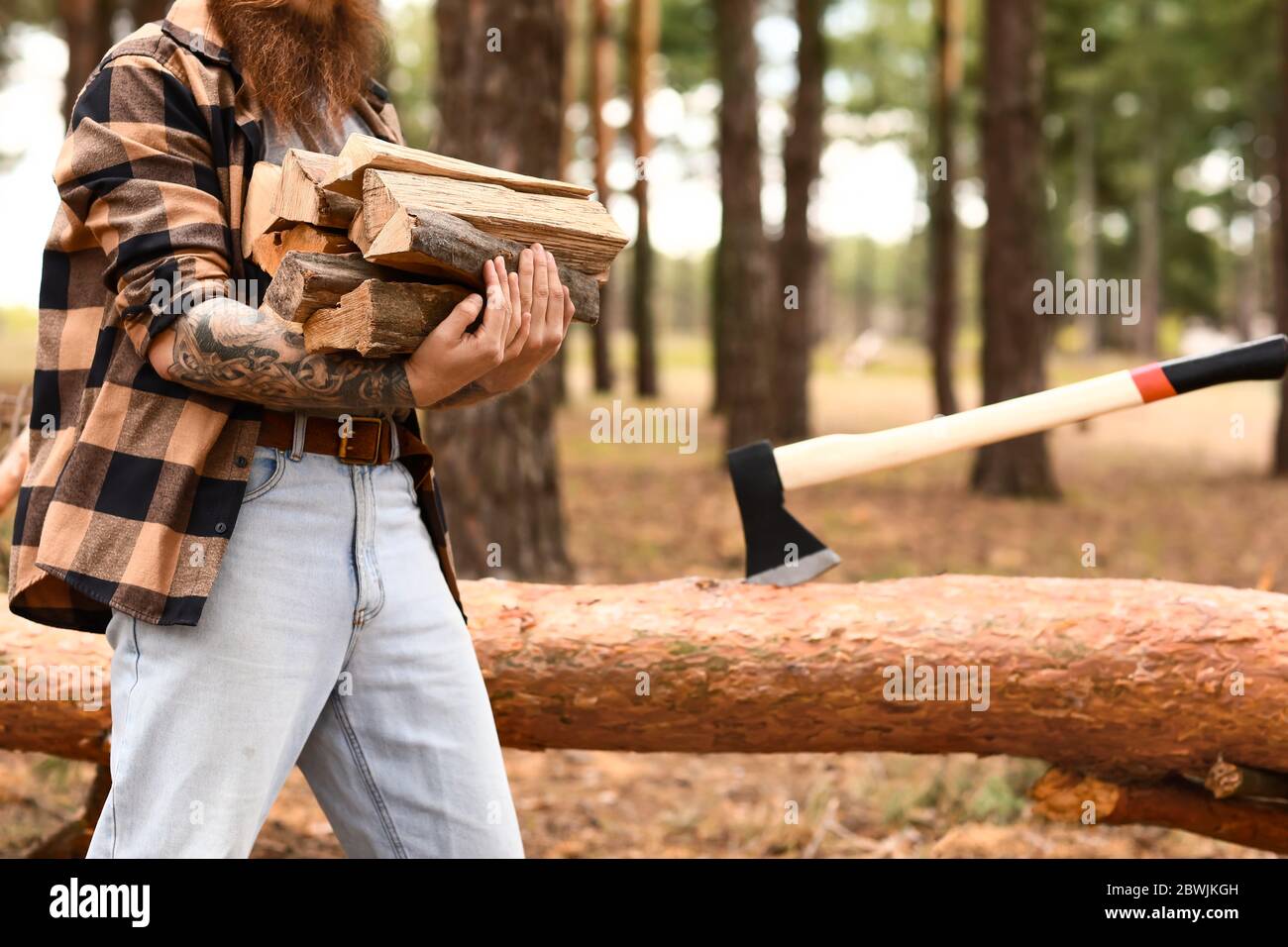 Schöner Holzfäller mit Baumstämmen im Wald Stockfoto