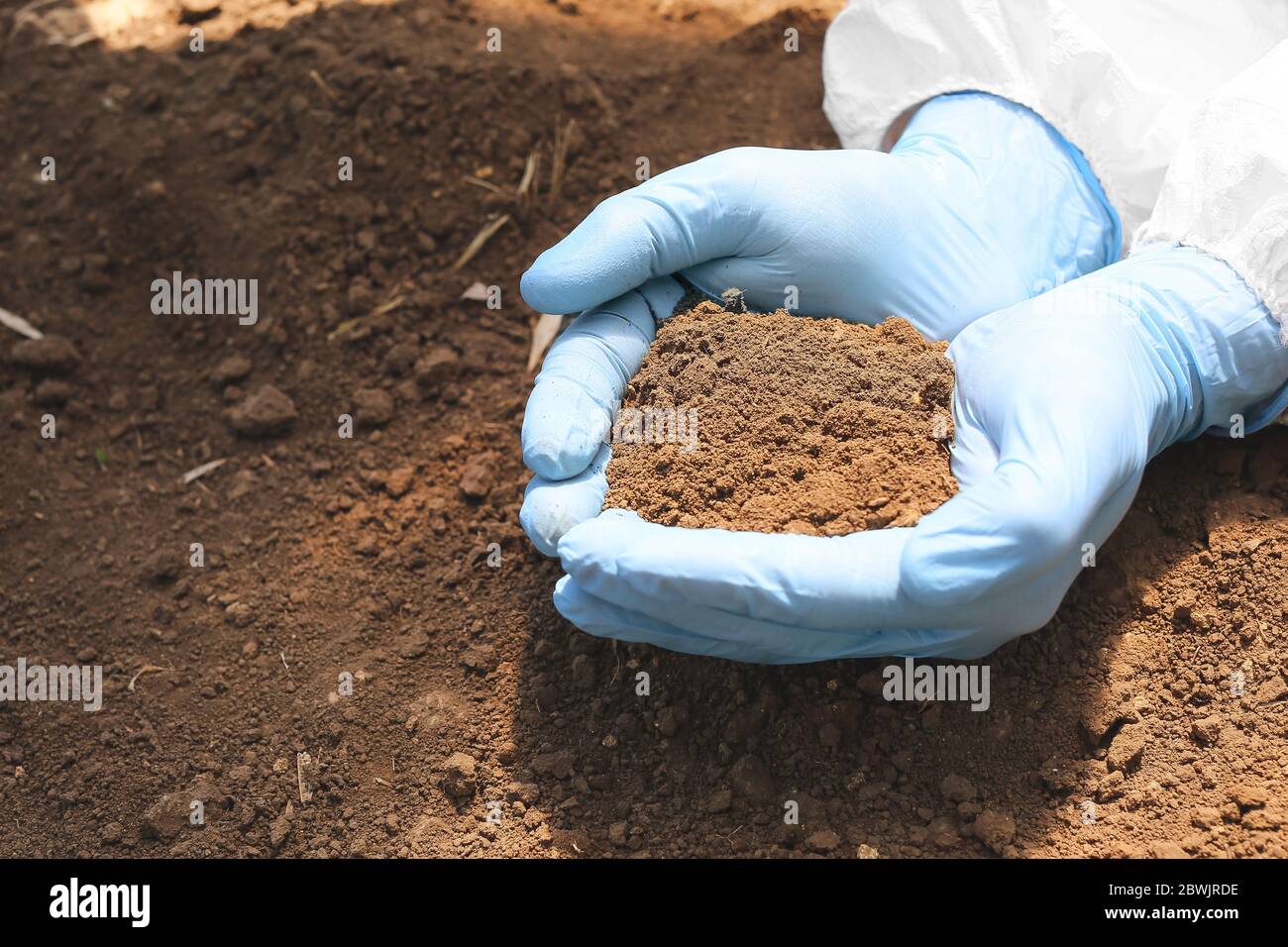 Wissenschaftler mit Bodenprobe im Feld, Nahaufnahme Stockfoto