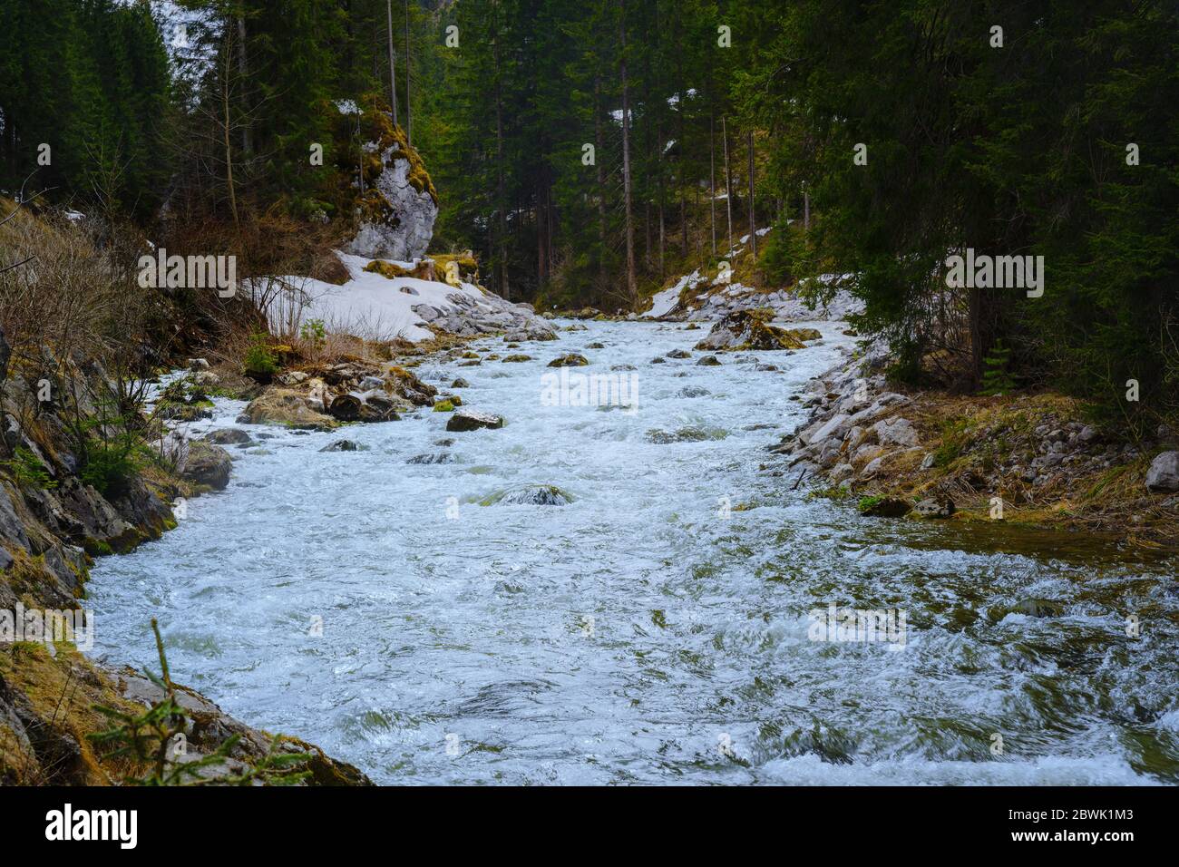 Landschaft mit einem weißen Wasser Bergbach aus Schmelzwasser im Wald Stockfoto