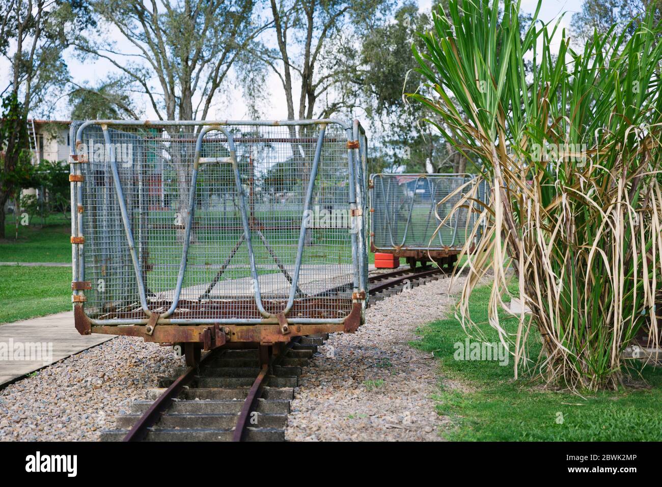 Cane Train oder Cane Tramway im hohen Norden von Queensland mit Cane Sugar Stockfoto